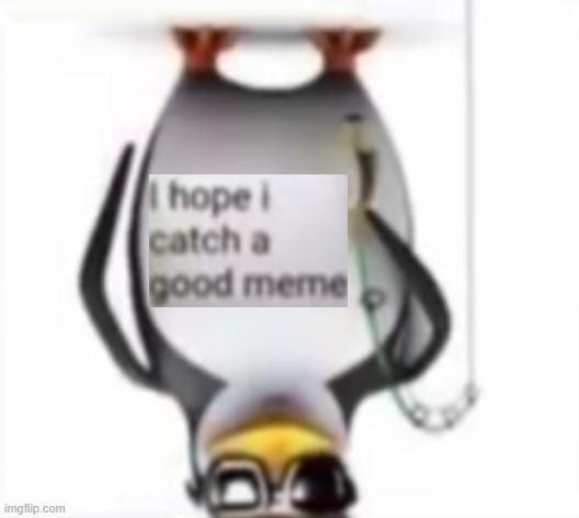 I hope I catch a good meme | image tagged in i hope i catch a good meme | made w/ Imgflip meme maker