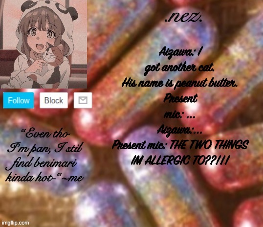 Nez announcement | Aizawa: I got another cat. His name is peanut butter.
Present mic: ...
Aizawa:...
Present mic: THE TWO THINGS IM ALLERGIC TO??!!! | image tagged in nez announcement | made w/ Imgflip meme maker