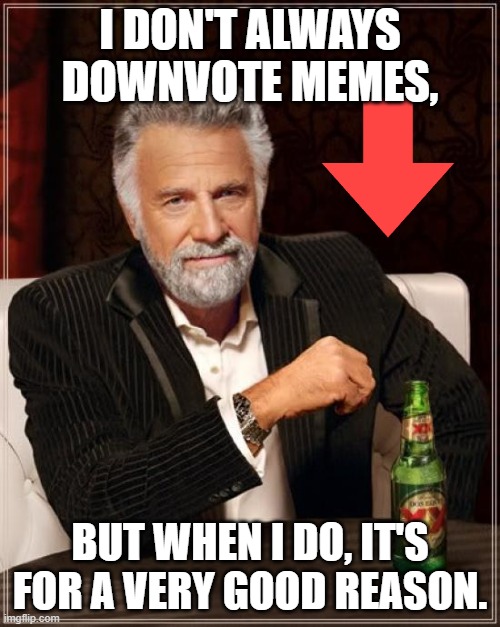 I usually upvote memes instead because 1) they made me laugh, 2) I want to appreciate the creator of the meme for wasting THEIR  | I DON'T ALWAYS DOWNVOTE MEMES, BUT WHEN I DO, IT'S FOR A VERY GOOD REASON. | image tagged in memes,the most interesting man in the world | made w/ Imgflip meme maker