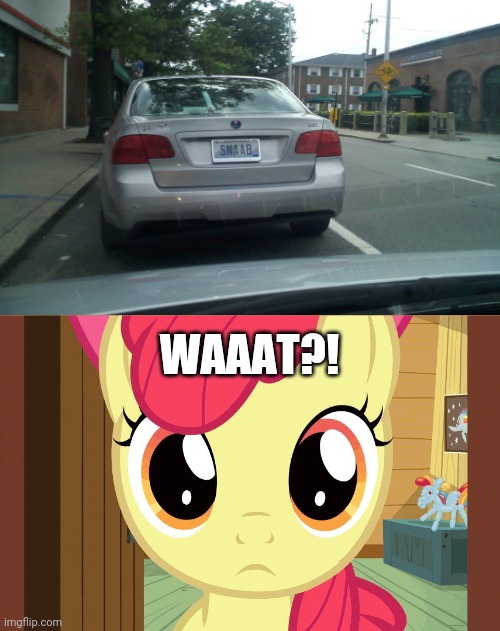 Snaab!? | WAAAT?! | image tagged in confused applebloom mlp,funny,license plate,saab,cars | made w/ Imgflip meme maker