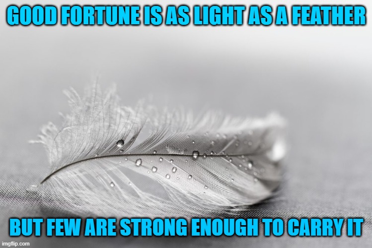 Good Fortune | GOOD FORTUNE IS AS LIGHT AS A FEATHER; BUT FEW ARE STRONG ENOUGH TO CARRY IT | image tagged in quotes | made w/ Imgflip meme maker
