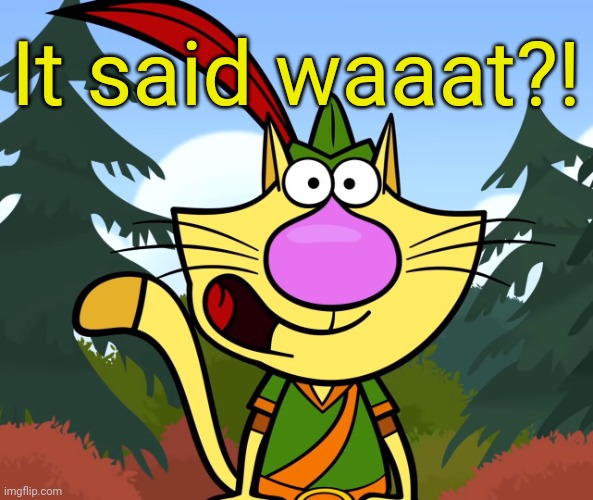 No Way!! (Nature Cat) | It said waaat?! | image tagged in no way nature cat | made w/ Imgflip meme maker