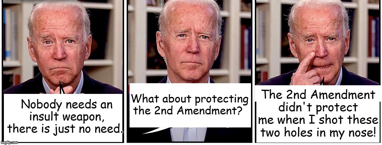 If there’s ever a problem, just walk out on the balcony here, walk out, put that double barrel and fire two blasts outside..... | What about protecting the 2nd Amendment? The 2nd Amendment didn't protect me when I shot these two holes in my nose! Nobody needs an insult weapon, there is just no need. | image tagged in biden | made w/ Imgflip meme maker