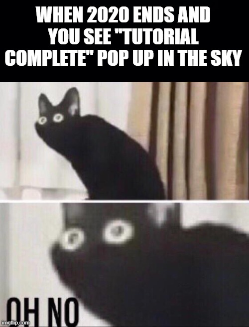 WHEN 2020 ENDS AND YOU SEE ''TUTORIAL COMPLETE" POP UP IN THE SKY | image tagged in black background,oh no cat | made w/ Imgflip meme maker