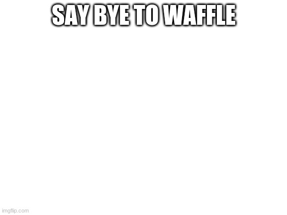 Blank White Template | SAY BYE TO WAFFLE | image tagged in blank white template | made w/ Imgflip meme maker