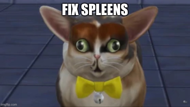 Repost but add something to fix spleens | FIX SPLEENS | image tagged in o | made w/ Imgflip meme maker
