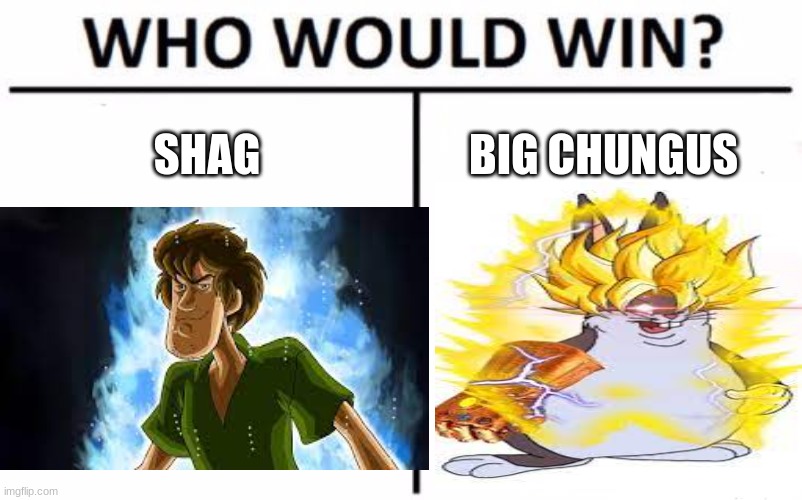 shag vs big chungus | SHAG; BIG CHUNGUS | image tagged in shaggy meme,big chungus,who would win | made w/ Imgflip meme maker