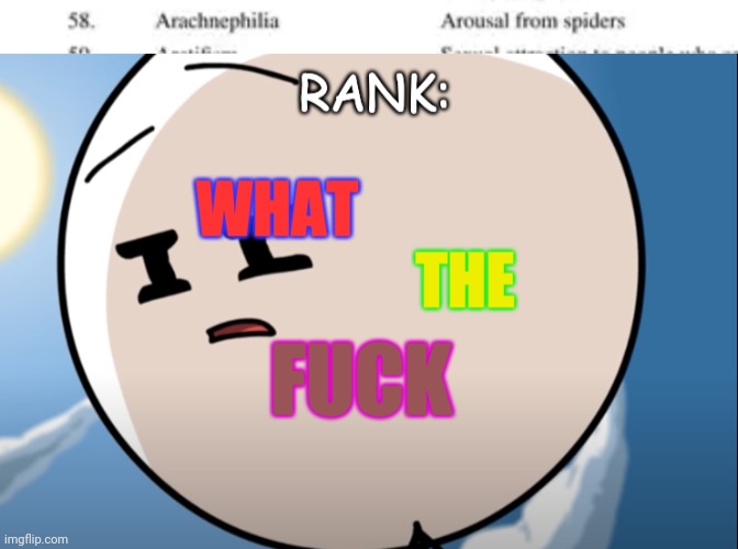 image tagged in rank what the fu k | made w/ Imgflip meme maker