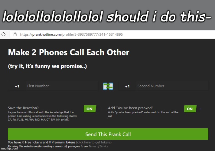 lololollololollolol should i do this- | made w/ Imgflip meme maker