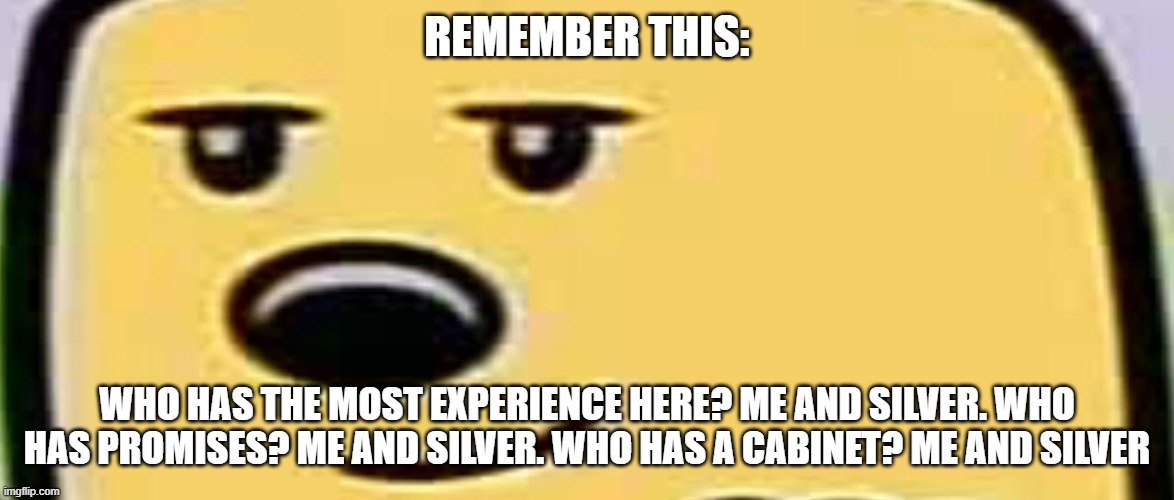 So I hope this helps your vote at the end of April | REMEMBER THIS:; WHO HAS THE MOST EXPERIENCE HERE? ME AND SILVER. WHO HAS PROMISES? ME AND SILVER. WHO HAS A CABINET? ME AND SILVER | image tagged in wubbzy smug,vote | made w/ Imgflip meme maker