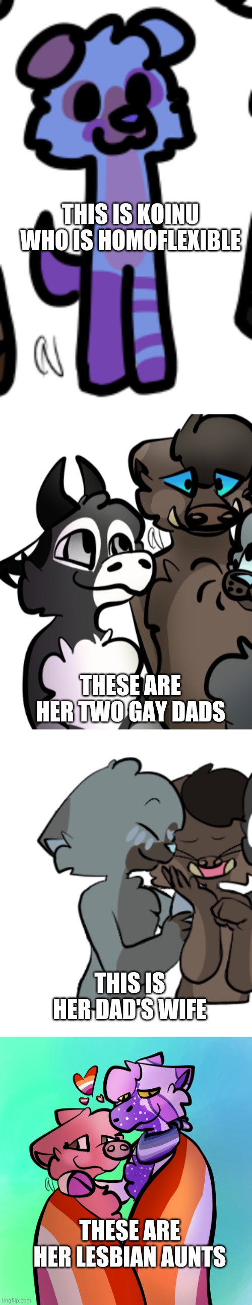 They're all gay | THIS IS KOINU WHO IS HOMOFLEXIBLE; THESE ARE HER TWO GAY DADS; THIS IS HER DAD'S WIFE; THESE ARE HER LESBIAN AUNTS | made w/ Imgflip meme maker