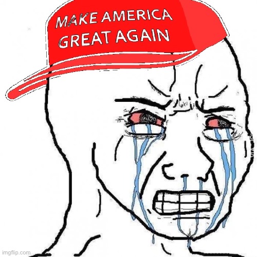 Crying wojak maga | image tagged in crying wojak maga | made w/ Imgflip meme maker