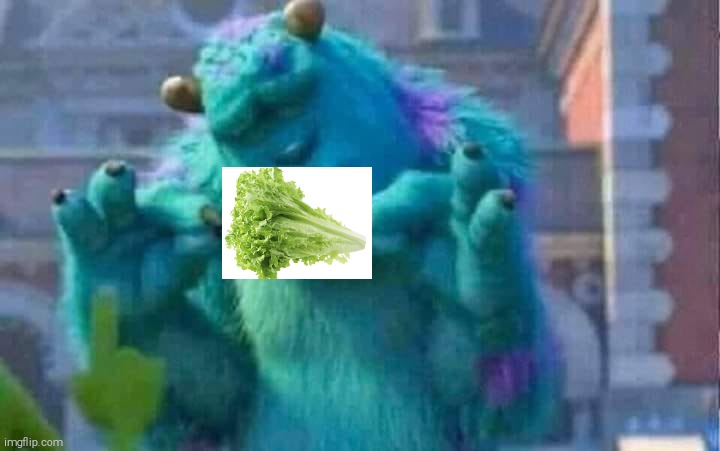 Lettuce | image tagged in sully shutdown | made w/ Imgflip meme maker