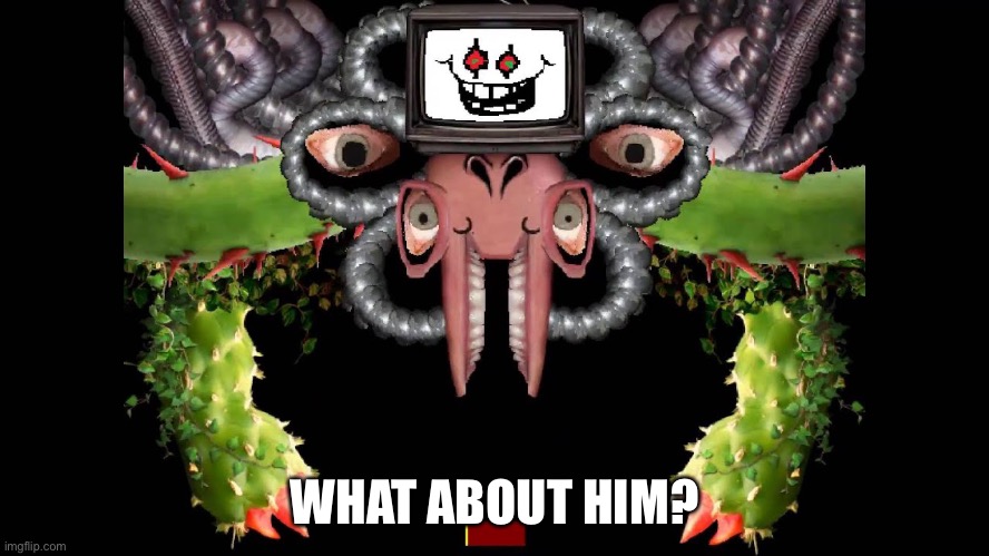 Omega Flowey Meme | WHAT ABOUT HIM? | image tagged in omega flowey meme | made w/ Imgflip meme maker