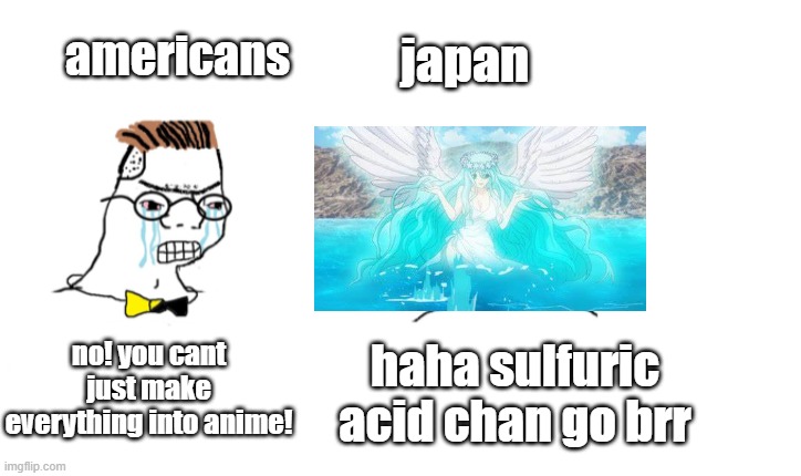 dr stone |  americans; japan; no! you cant just make everything into anime! haha sulfuric acid chan go brr | image tagged in nooo haha go brrr | made w/ Imgflip meme maker