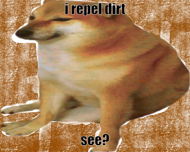 dirt repel dog | i repel dirt; see? | image tagged in dirt repel dog,cheems,odd | made w/ Imgflip meme maker