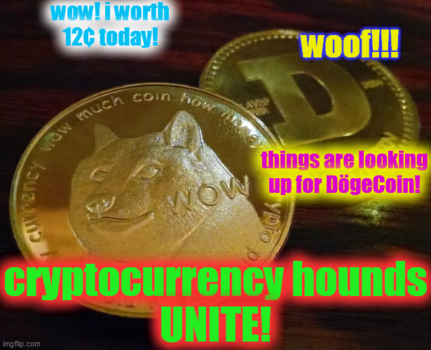 Who. NEEDs. Stonks? | wow! i worth
12¢ today! woof!!! things are looking
up for DögeCoin! cryptocurrency hounds
UNITE! | image tagged in stonks,dogecoin,cryptocurrency,bitcoin,joke cash,doge | made w/ Imgflip meme maker