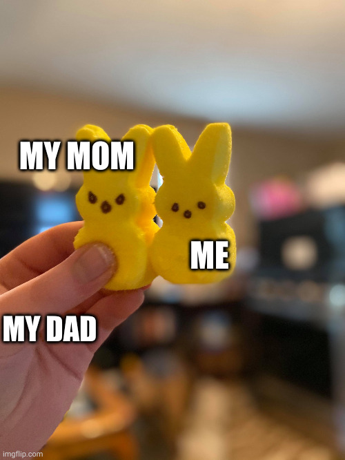 PEEP MEME 1 | MY MOM; ME; MY DAD | image tagged in the passion and deppression of peeps | made w/ Imgflip meme maker