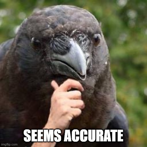 Seems Accurate | SEEMS ACCURATE | image tagged in seems accurate | made w/ Imgflip meme maker