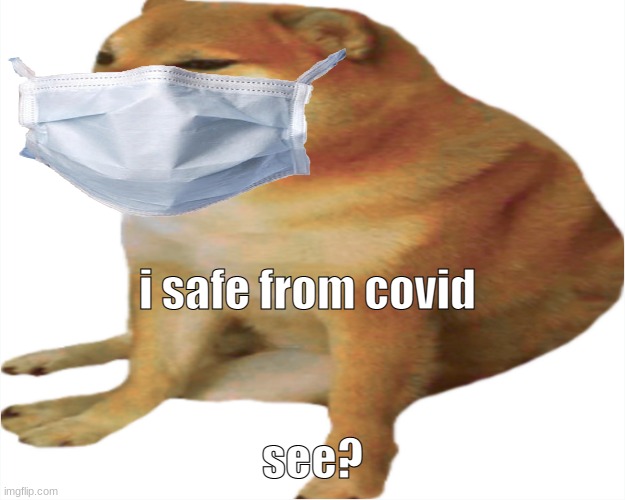 chemms is safe from covid | i safe from covid; see? | image tagged in cheems,masks,coronavirus | made w/ Imgflip meme maker