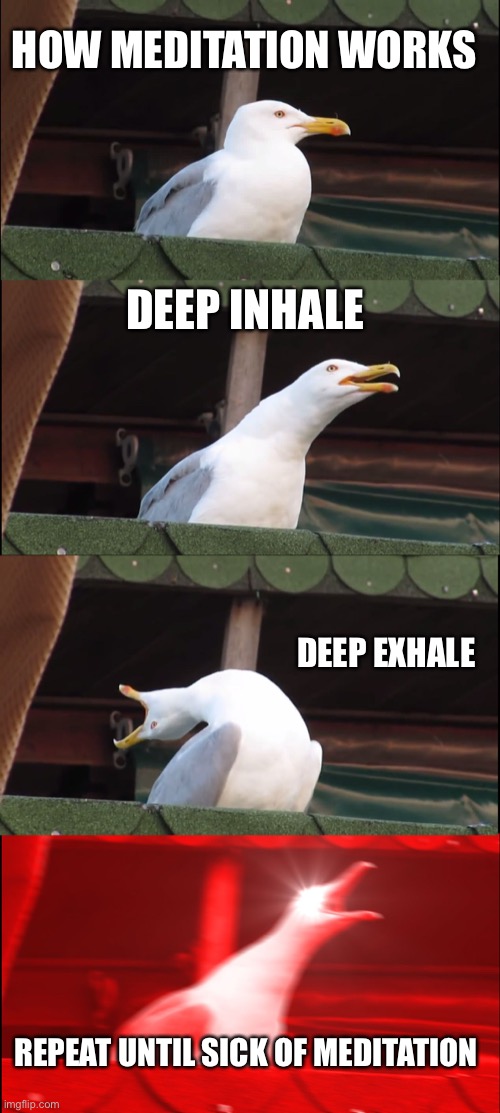 Inhaling Seagull Meme | HOW MEDITATION WORKS; DEEP INHALE; DEEP EXHALE; REPEAT UNTIL SICK OF MEDITATION | image tagged in memes,inhaling seagull | made w/ Imgflip meme maker