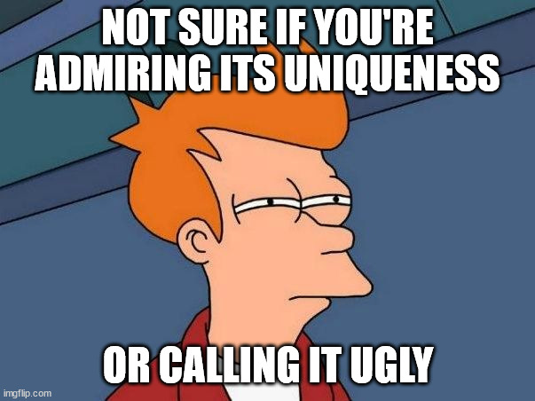 Not sure if- fry | NOT SURE IF YOU'RE ADMIRING ITS UNIQUENESS; OR CALLING IT UGLY | image tagged in not sure if- fry | made w/ Imgflip meme maker