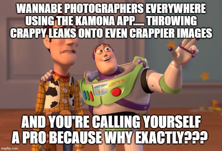 kamona app photography freaks everywhere my dear | WANNABE PHOTOGRAPHERS EVERYWHERE USING THE KAMONA APP..... THROWING CRAPPY LEAKS ONTO EVEN CRAPPIER IMAGES; AND YOU'RE CALLING YOURSELF A PRO BECAUSE WHY EXACTLY??? | image tagged in memes,light leaks,photographers,funny,photography | made w/ Imgflip meme maker