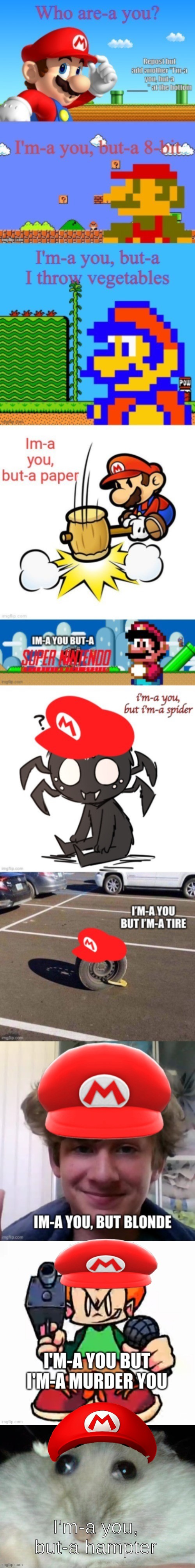 second time, since people didnt notice the first one | I'm-a you, but-a hampter | made w/ Imgflip meme maker