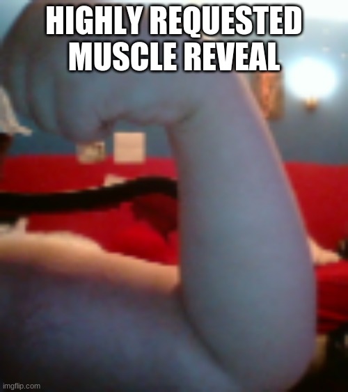 HIGHLY REQUESTED MUSCLE REVEAL | made w/ Imgflip meme maker