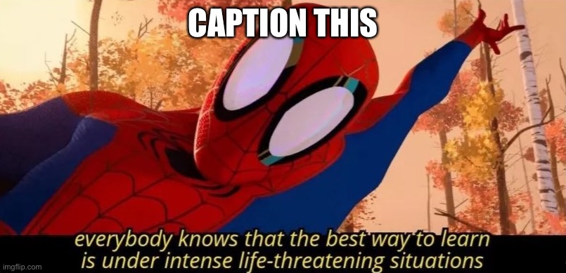 intense life threatening situations | CAPTION THIS | image tagged in intense life threatening situations | made w/ Imgflip meme maker