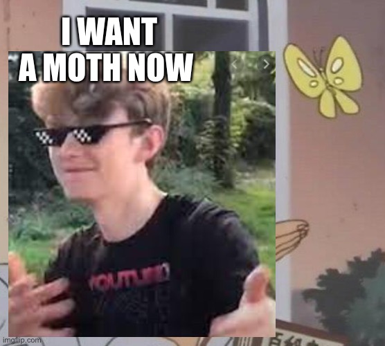 I want a pet moth | I WANT A MOTH NOW | image tagged in pets | made w/ Imgflip meme maker