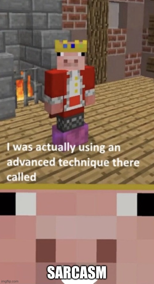 I Was Using An Advanced Technique Called LYING | SARCASM | image tagged in i was using an advanced technique called lying | made w/ Imgflip meme maker
