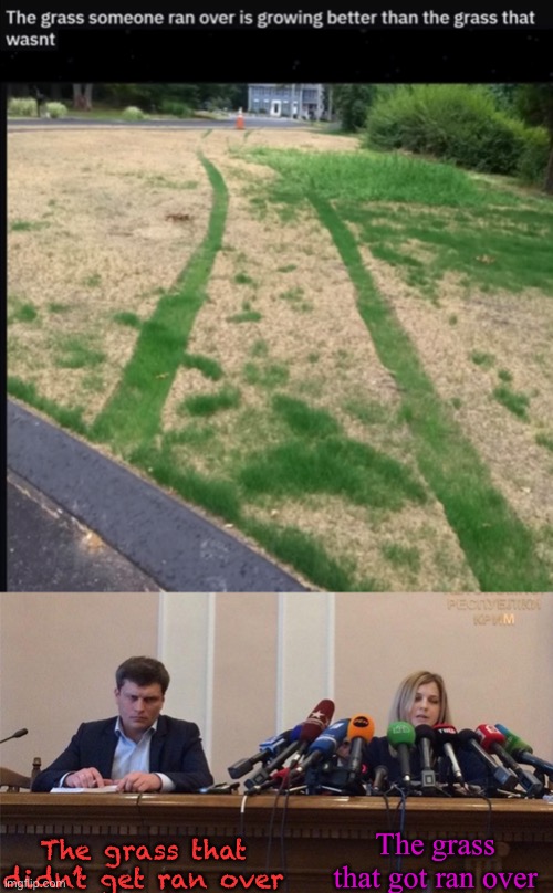This is pretty weird ngl | The grass that got ran over; The grass that didn’t get ran over | image tagged in man and woman microphone | made w/ Imgflip meme maker