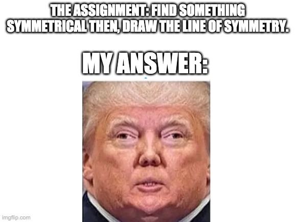 symmetrical donald trump | THE ASSIGNMENT: FIND SOMETHING SYMMETRICAL THEN, DRAW THE LINE OF SYMMETRY. MY ANSWER: | image tagged in blank white template,donald trump,funny memes,yeet,die | made w/ Imgflip meme maker