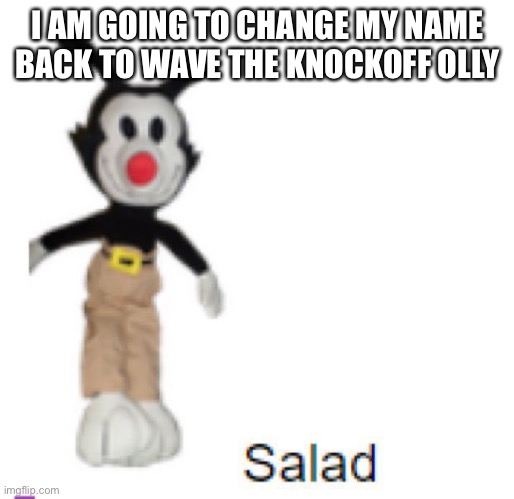I AM GOING TO CHANGE MY NAME BACK TO WAVE THE KNOCKOFF OLLY | made w/ Imgflip meme maker