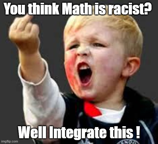 Who thinks Math is Racist? | You think Math is racist? Well Integrate this ! | image tagged in baby pointing middle finger,who thinks math is racis | made w/ Imgflip meme maker