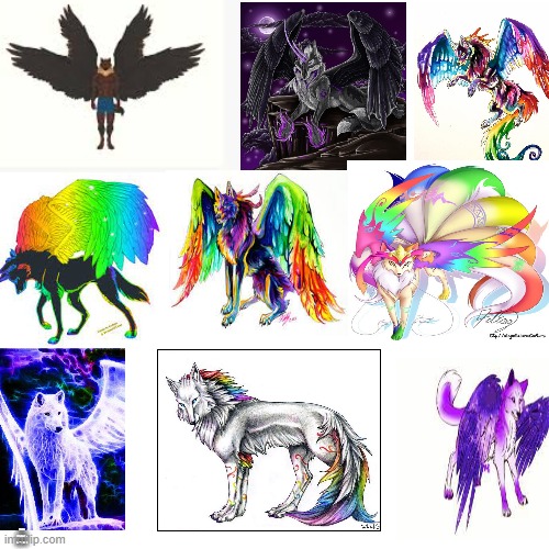 These will be part of a role play soon I'll send the link to deku | The white rainbow tailed wolf is used for common communication; These are my wolf deku's forms | made w/ Imgflip meme maker