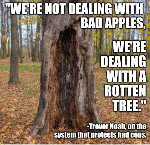 Rotten tree | "WE'RE NOT DEALING WITH 
BAD APPLES, WE'RE
DEALING
WITH A
ROTTEN
TREE."; -Trevor Noah, on the system that protects bad cops. | image tagged in rotten tree | made w/ Imgflip meme maker