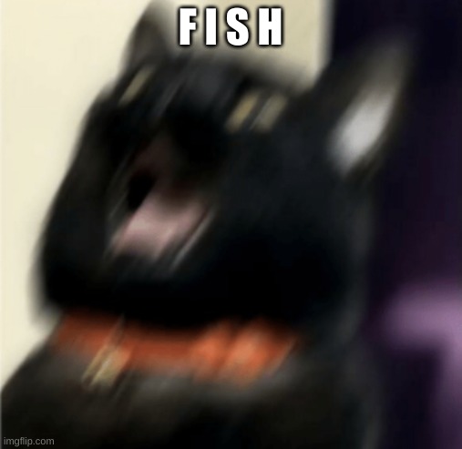 HELP | F I S H | image tagged in help | made w/ Imgflip meme maker