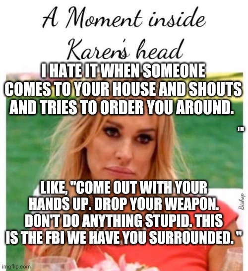 I HATE IT WHEN SOMEONE COMES TO YOUR HOUSE AND SHOUTS AND TRIES TO ORDER YOU AROUND. J M; LIKE, "COME OUT WITH YOUR HANDS UP. DROP YOUR WEAPON. DON'T DO ANYTHING STUPID. THIS IS THE FBI WE HAVE YOU SURROUNDED. " | image tagged in woman yelling at smudge the cat | made w/ Imgflip meme maker