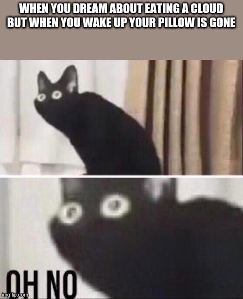 Oh no cat | WHEN YOU DREAM ABOUT EATING A CLOUD
BUT WHEN YOU WAKE UP YOUR PILLOW IS GONE | image tagged in oh no cat | made w/ Imgflip meme maker