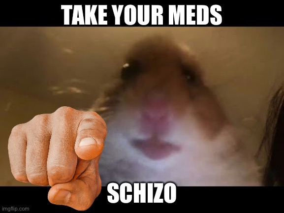 TAKE YOUR MEDS; SCHIZO | image tagged in schizophrenia | made w/ Imgflip meme maker