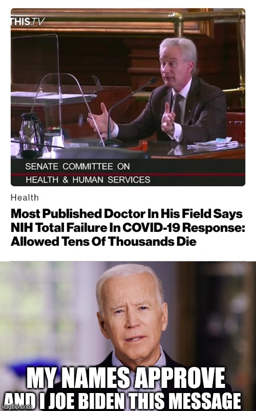 Politics and stuff | MY NAMES APPROVE; AND I JOE BIDEN THIS MESSAGE | image tagged in joe biden 2020 | made w/ Imgflip meme maker