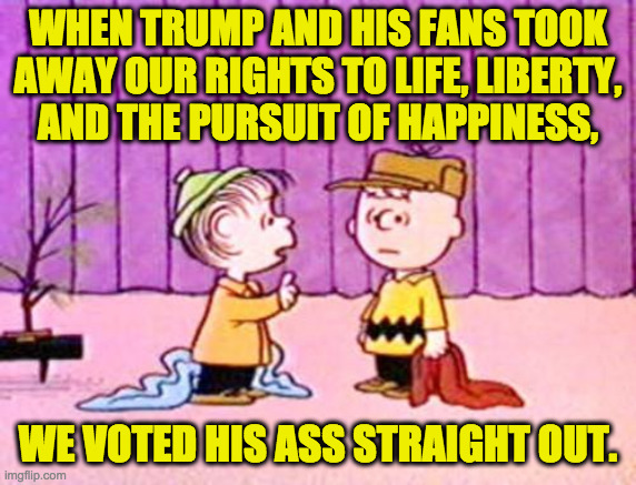 My self-evident truth and yours are very different. | WHEN TRUMP AND HIS FANS TOOK
AWAY OUR RIGHTS TO LIFE, LIBERTY,
AND THE PURSUIT OF HAPPINESS, WE VOTED HIS ASS STRAIGHT OUT. | image tagged in charlie brown and linus,memes,self evident,bye don,democracy | made w/ Imgflip meme maker