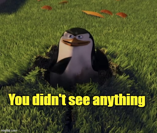 You didn't see anything | made w/ Imgflip meme maker