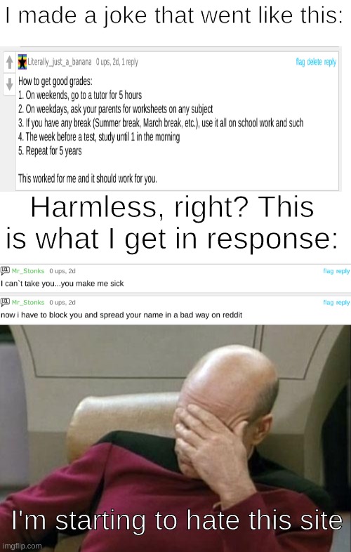 Why tho | I made a joke that went like this:; Harmless, right? This is what I get in response:; I'm starting to hate this site | image tagged in blank white template,memes,captain picard facepalm | made w/ Imgflip meme maker