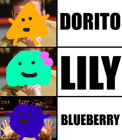 Sorry about the background | DORITO; LILY; BLUEBERRY | made w/ Imgflip meme maker