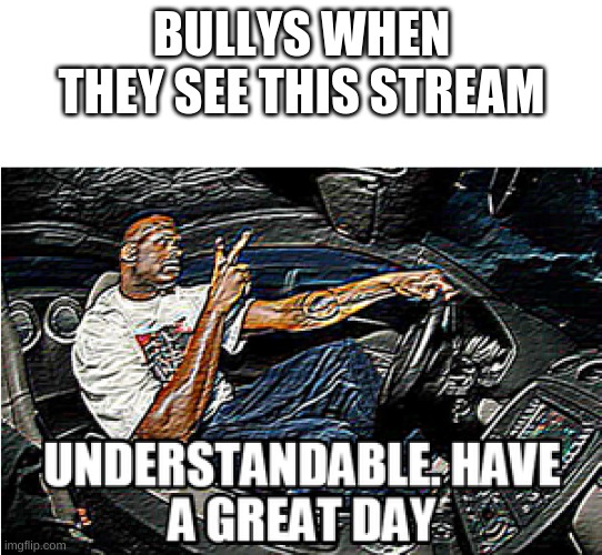 BULLYING DROPS DOWN TO 0 | BULLYS WHEN THEY SEE THIS STREAM | image tagged in understandable have a great day | made w/ Imgflip meme maker