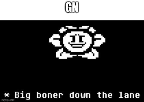 e | GN | image tagged in big boner down the lane | made w/ Imgflip meme maker