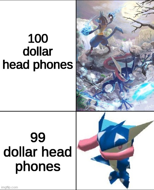 lol |  100 dollar head phones; 99 dollar head phones | image tagged in expectation vs reality,msmg,memes | made w/ Imgflip meme maker